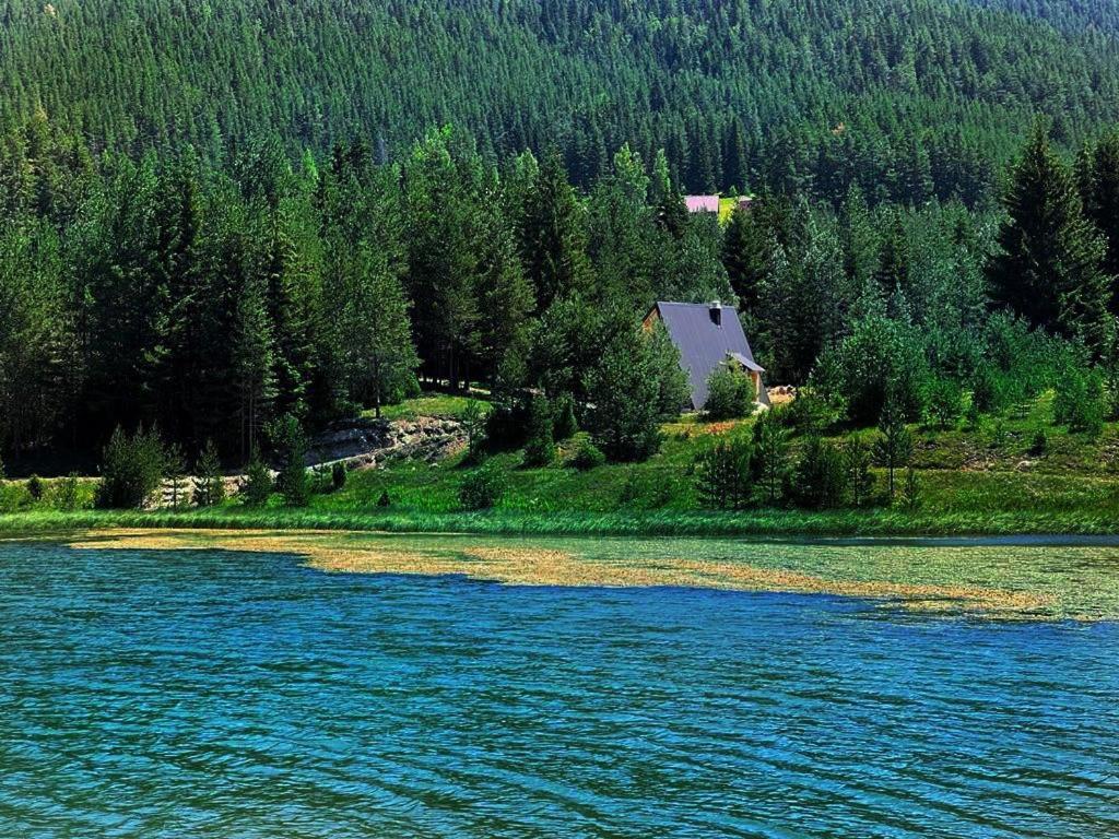 Villa Zminica House *