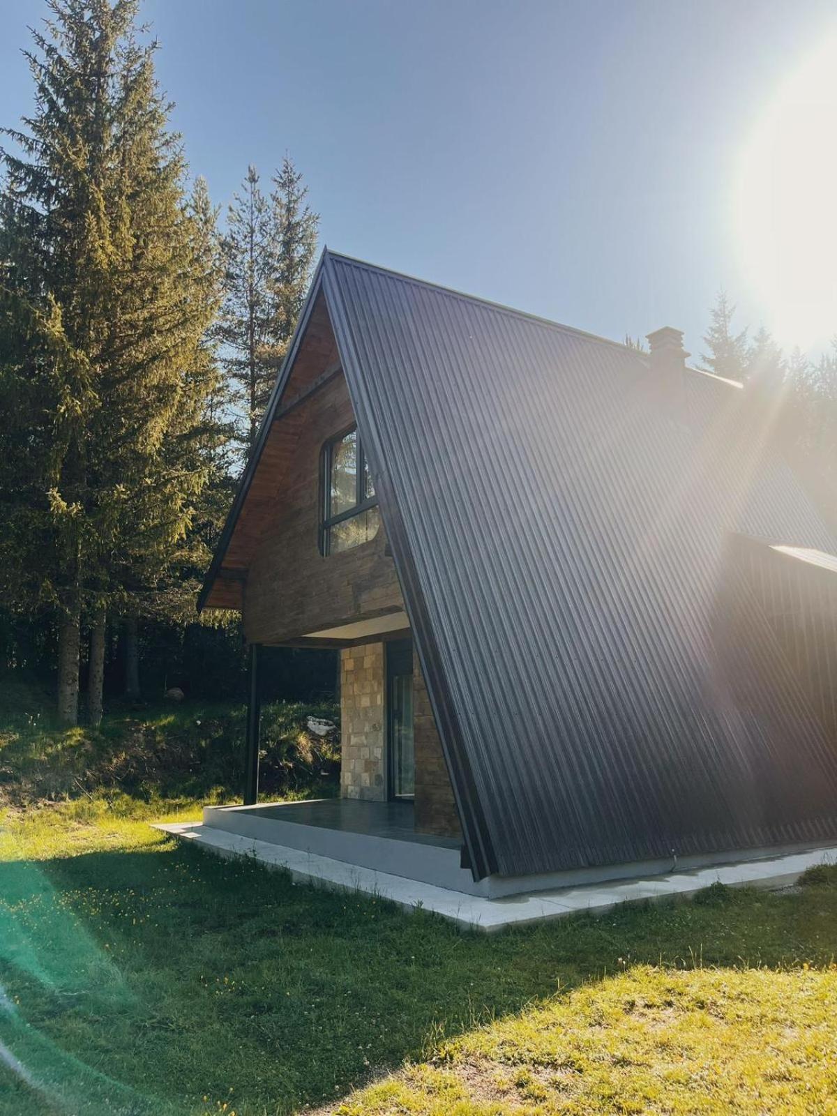 Zminica House